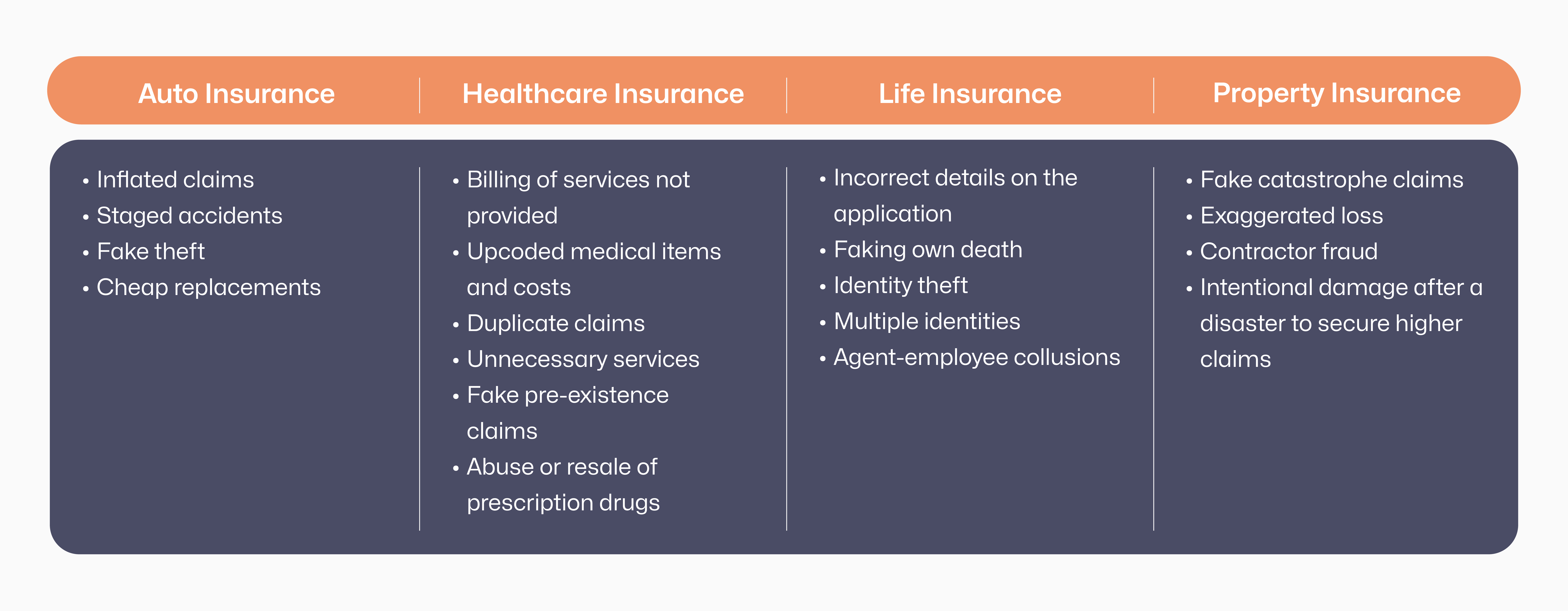 Segment-Wise Types of Insurance Fraud